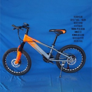 猛士变速 山地自行车 leho bike 成人自行车 铝轮 镁合金自行车