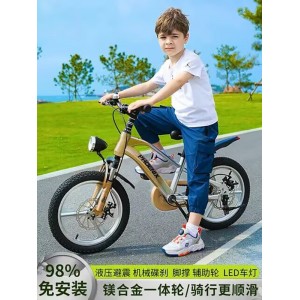 儿童自行车3-6-12岁男孩女孩中大童山地车小学生脚踏单车新款