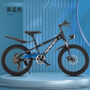 自行车儿童中大童7-13岁女孩变速山地车小学生男孩脚踏