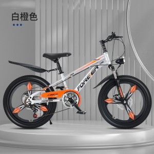 自行车儿童中大童7-13岁女孩变速山地车小学生男孩脚踏