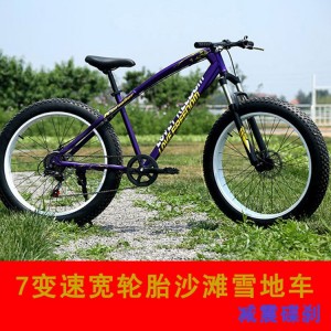 沙滩雪地山地自行车 变速 减震双碟刹自行车20寸26寸