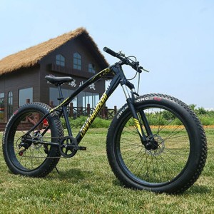 沙滩雪地山地自行车 变速 减震双碟刹自行车20寸26寸