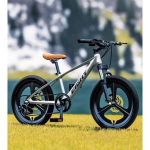 镁合金儿童自行车大童男女孩8-14岁20寸学生脚踏双碟刹变速山地车