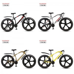 厂家供应雪地车沙滩车26寸双碟刹宽胎越野变速车自行车成人山地车