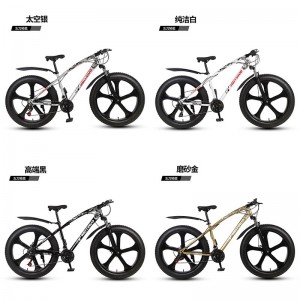 26寸双碟刹宽胎越野变速车自行车成人山地车雪地车沙滩车厂家供应