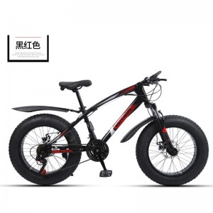 厂家供应20寸双碟刹4.0宽轮胎雪地沙滩车户外男女骑行越野自行车