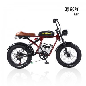 同款雪地车山地RX静音无刷电动自行车宽胎变速电瓶车