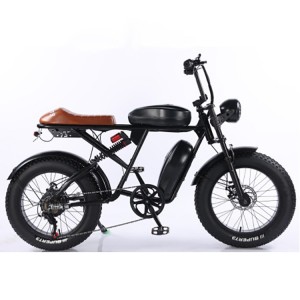 同款雪地车山地RX静音无刷电动自行车宽胎变速电瓶车