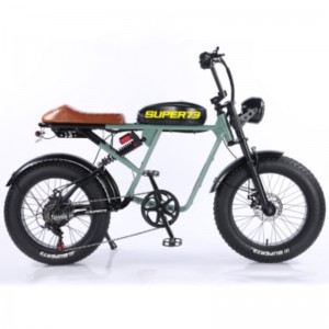 同款雪地车山地RX静音无刷电动自行车宽胎变速电瓶车