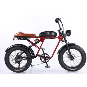 同款雪地车山地RX静音无刷电动自行车宽胎变速电瓶车