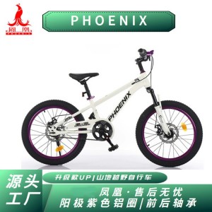 凤凰儿童自行车男孩女孩6-18岁碟刹单速山地脚踏车小学生车山地车