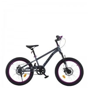 凤凰儿童自行车男孩女孩6-18岁碟刹单速山地脚踏车小学生车山地车