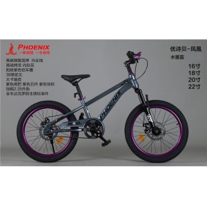 凤凰儿童自行车男孩女孩6-18岁碟刹单速山地脚踏车小学生车山地车