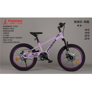 凤凰儿童自行车男孩女孩6-18岁碟刹单速山地脚踏车小学生车山地车