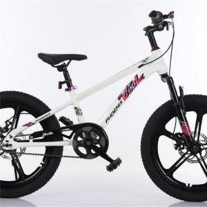 凤凰儿童自行车男孩女孩6-12岁中大童碟刹山地车单速越野安全骑行