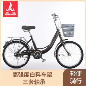 凤凰儿童自行20寸22寸中大童轻便女孩学生公主车通勤脚踏淑女单车