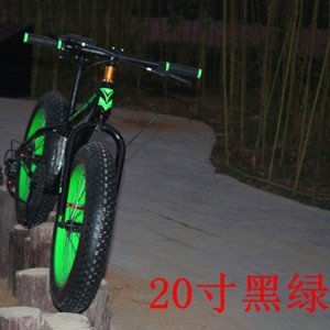 新款20寸26寸雪地自行车 沙滩山地变速自行车21速 双碟刹减震款