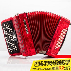 厂家直供巴扬手风琴儿童成人120贝斯96贝斯60贝斯手风琴玩具