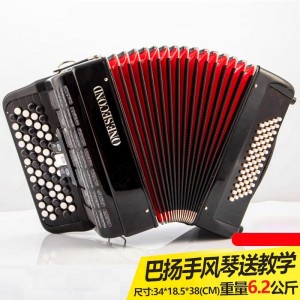 厂家直供巴扬手风琴儿童成人120贝斯96贝斯60贝斯手风琴玩具