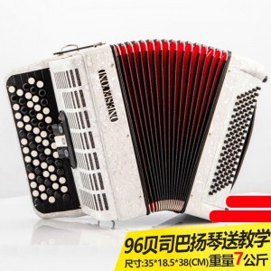 厂家直供巴扬手风琴儿童成人120贝斯96贝斯60贝斯手风琴玩具