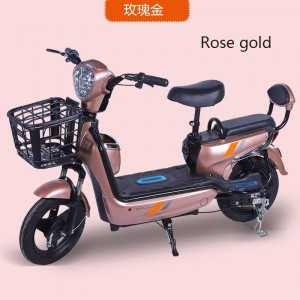 New national standard electric car unisex battery car adult scooter electric bicycle two-wheel battery car