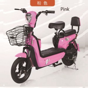 New national standard electric car unisex battery car adult scooter electric bicycle two-wheel battery car