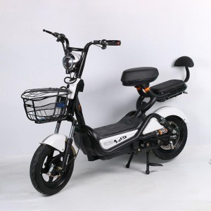 48V two wheel electric bike adult double battery car full vehicle electric bike adult two wheel electric bike