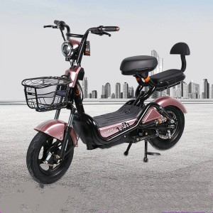 48V two wheel electric bike adult double battery car full vehicle electric bike adult two wheel electric bike