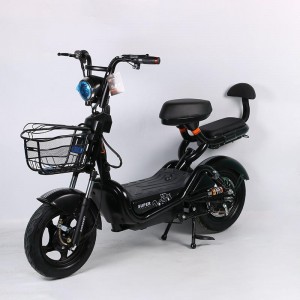 48V two wheel electric bike adult double battery car full vehicle electric bike adult two wheel electric bike