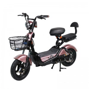 48V two wheel electric bike adult double battery car full vehicle electric bike adult two wheel electric bike