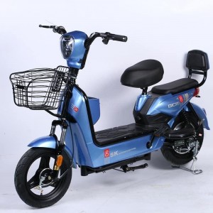 electric car double adult electric bike source factory battery car electric bike adult commuter battery car