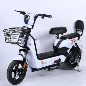 electric car double adult electric bike source factory battery car electric bike adult commuter battery car