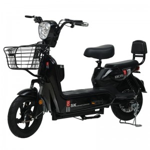 electric car double adult electric bike source factory battery car electric bike adult commuter battery car