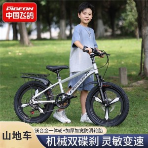 飞鸽儿童自行车6-10-12-15岁碟刹山地男女孩变速减震中学生脚踏车