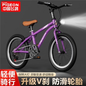飞鸽95装儿童自行车6-10-15岁中大童单速变速V刹山地中小学生脚踏车