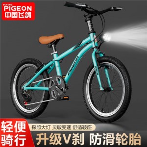 飞鸽95装儿童自行车6-10-15岁中大童单速变速V刹山地中小学生脚踏车
